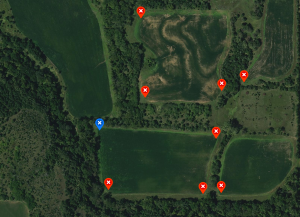 inside field edge treestand location